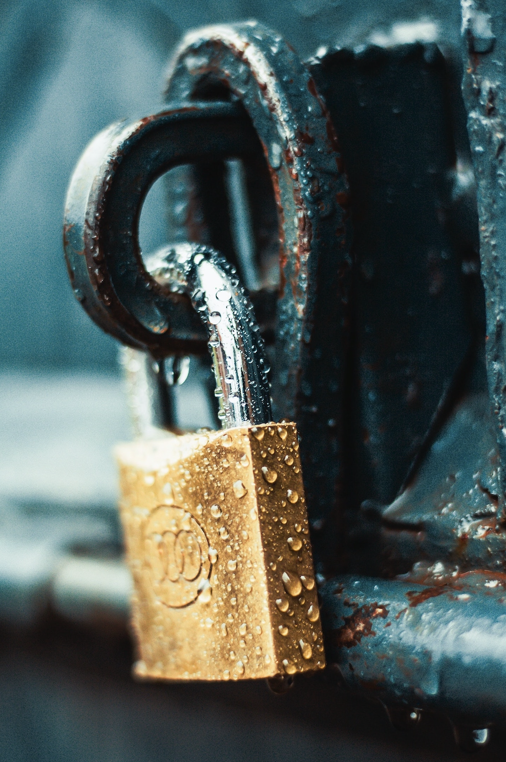 A lock in front of a gate