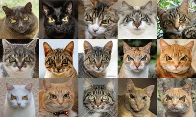 Research into generative models that can create images like these sinister cats is just one example of some spooky research happening in SCS. 