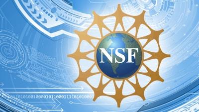 NSF Logo NSF Logo