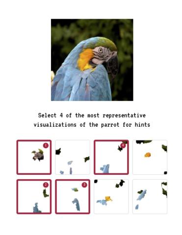 a full image of a parrot above 8 small squares, each containing a small portion of image. Text reads "Select 4 of the most representative visualizations of the parrot for hints"