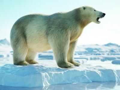 CMU researchers sought to better understand conspiracy theories and disinformation surrounding climate change by studying Twitter. CMU researchers sought to better understand conspiracy theories and disinformation surrounding climate change by studying Twitter.