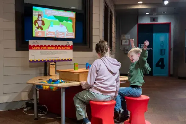 two children seated at the NoRILLA science table, the one raises his hands in the air after getting an answer correct