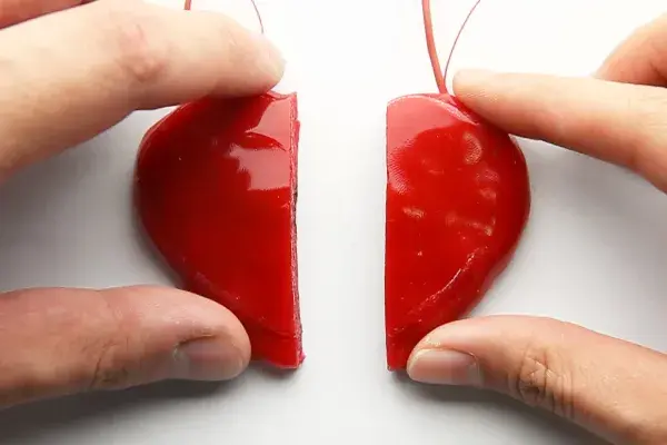 a heart covered in the self-hearling polymer has been sliced in half 