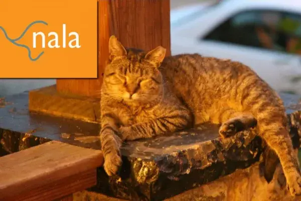 Nala logo with lounging cat.